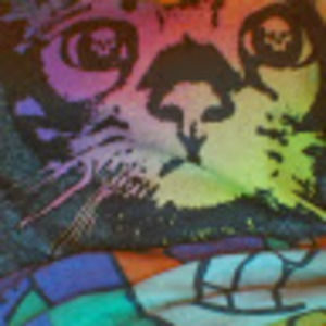 Meet your Posher, Cara